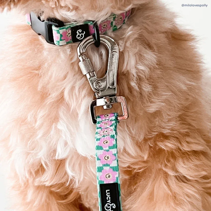 Just Chill Collar - Image 2