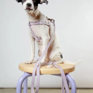 Walk in the Park Waterproof Dog Harness in Lilac (Made in the USA)