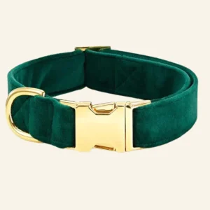 Forest Green Velvet Dog Collar (FINAL SALE)