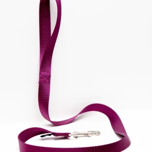 Nylon Dog Leash in Burgundy (4ft) (Made in the USA)