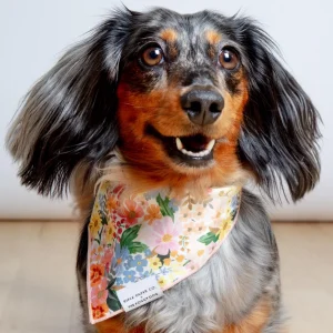 Rifle Paper Co. X TFD Marguerite Floral Dog Bandana FINAL SALE
