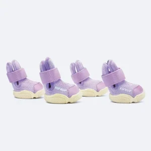 Caesar Dog Sneakers in Taro
