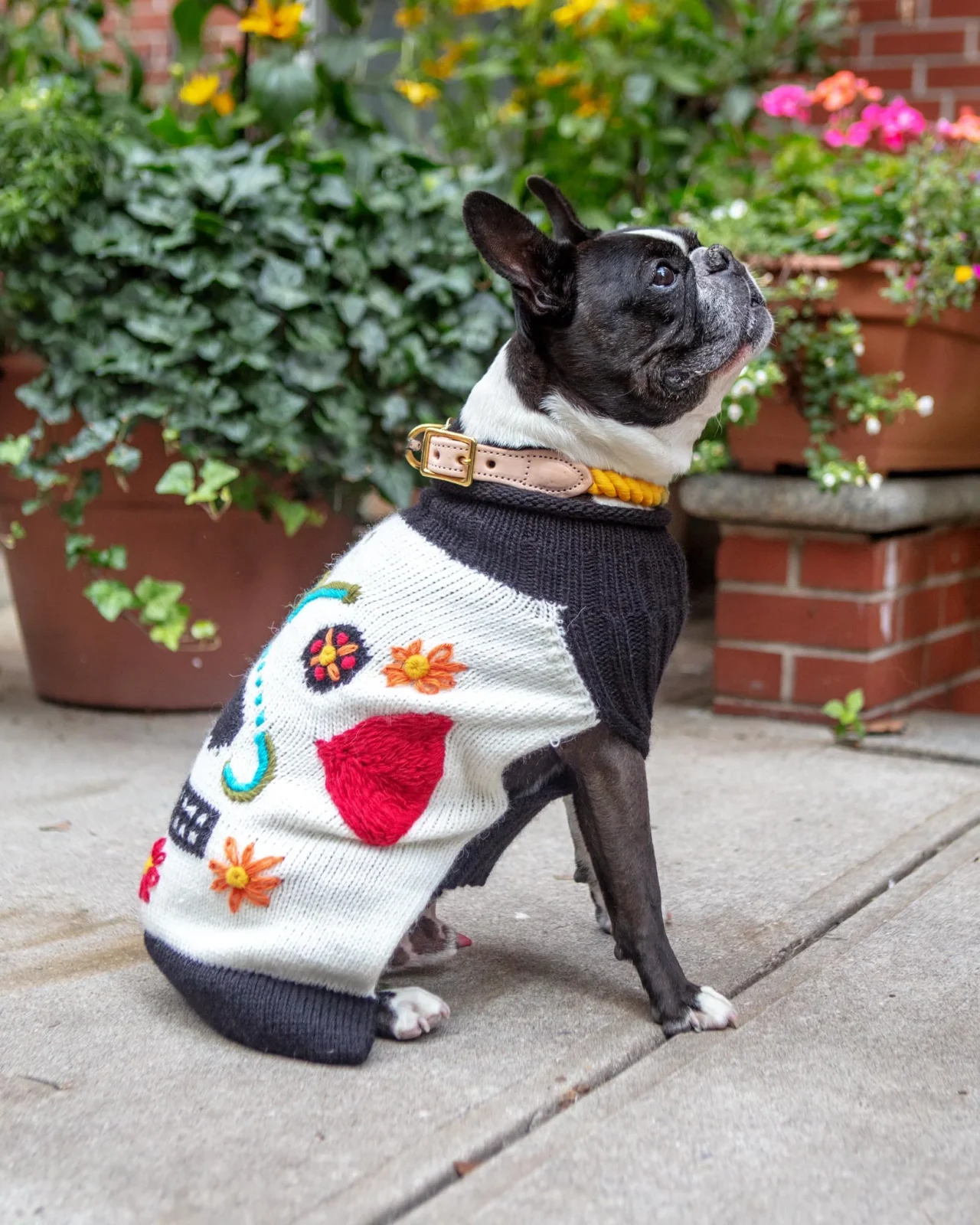 Day of the Dead Handknit Dog Sweater (FINAL SALE) - Image 2