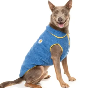 Hana Dog Jacket in Blue (FINAL SALE)