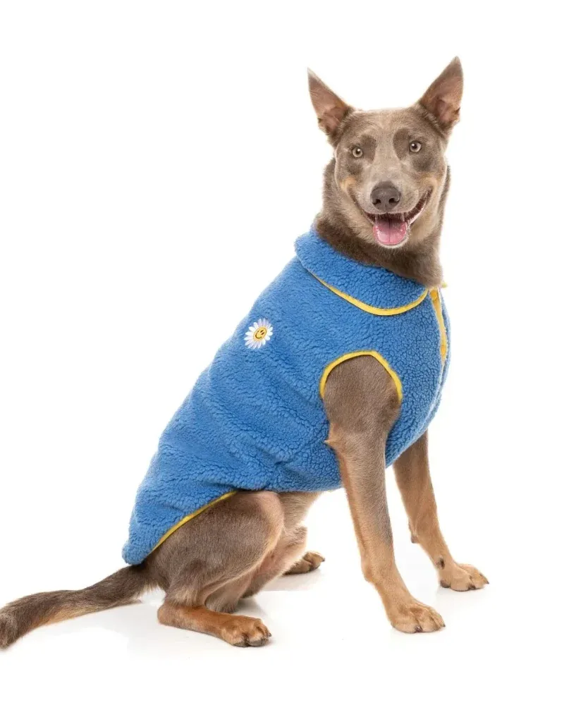 Hana Dog Jacket in Blue (FINAL SALE)