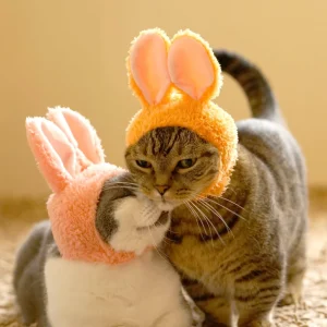 Rabbit Cap for Cats (Surprise Box)