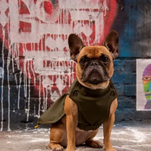 Brownie Waterproof Raincoat in Olive