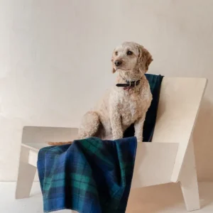 Recycled Wool Pet Blanket in Black Watch Tartan (FINAL SALE)