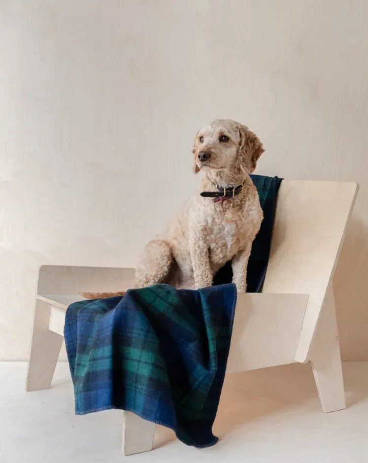 Recycled Wool Pet Blanket in Black Watch Tartan (FINAL SALE)
