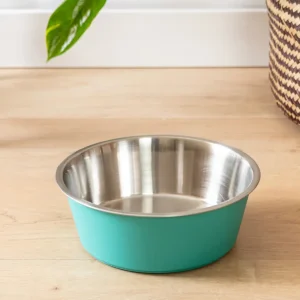 Malmo Stainless-Steel Pet Bowl in Teal (FINAL SALE)