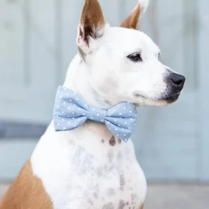 Chambray Dots Dog Bow Tie (Made in the USA) (FINAL SALE)