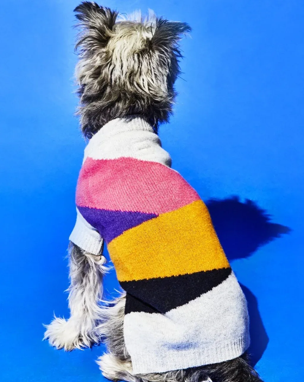 Asymmetric Dog Sweater in Grey <> - Image 2