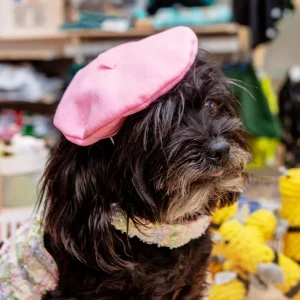 Pink Beret Petite Pet Hat (Made in the USA)