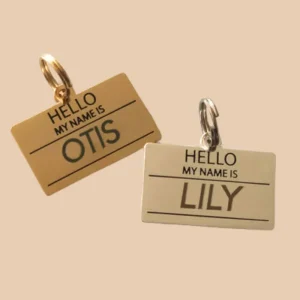 Hello, My Name Is ID Tag (Custom/Drop-Ship)