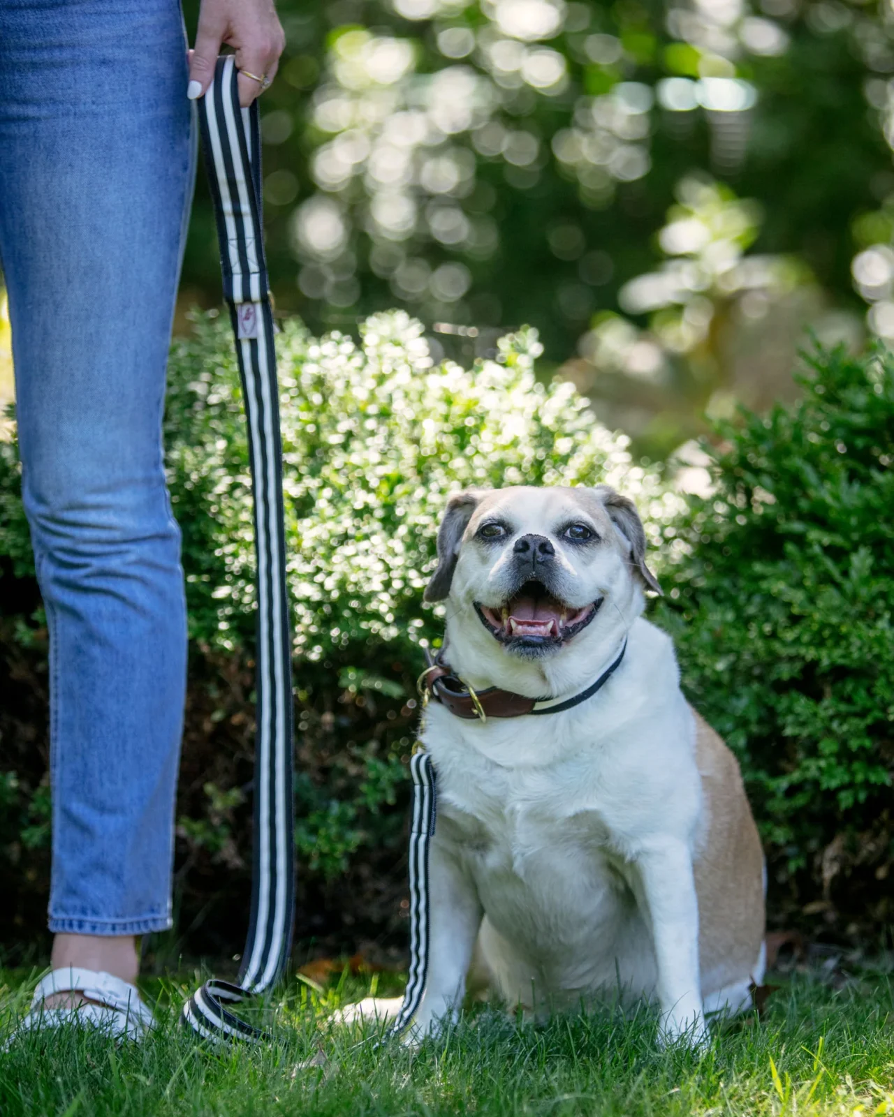 Black & White Stripe Dog Leash (Made in the USA) (FINAL SALE) - Image 2