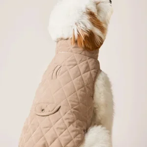 Fawn Sherpa-Lined Reversible Dog Jacket