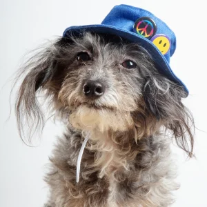 Denim Pet Bucket Hat (Made in the USA)