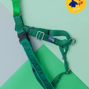 Freedom No-Pull Harness in Kelly Green (Made in the USA) (FINAL SALE)