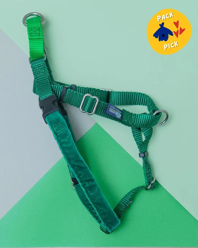 Freedom No-Pull Harness in Kelly Green (Made in the USA) (FINAL SALE)