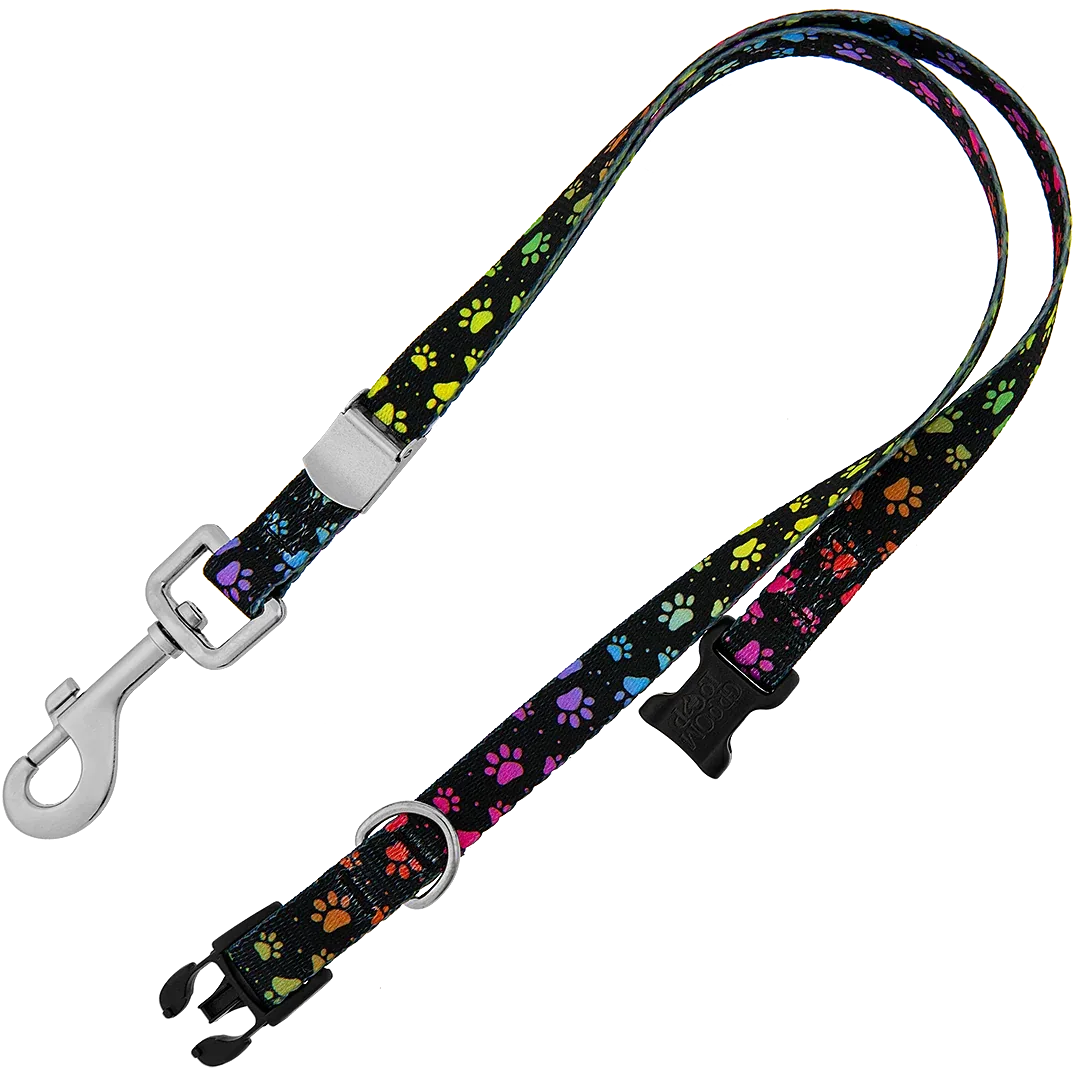 20″ Polyester Loop Rainbow Pretty Paws by Groom Loop