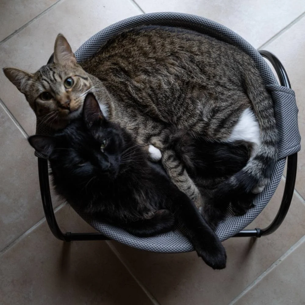 Cat Hammock Bed - Image 2