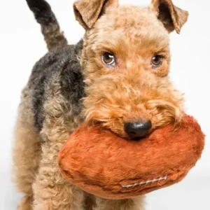 Plush + Squeaky Football Dog Toy