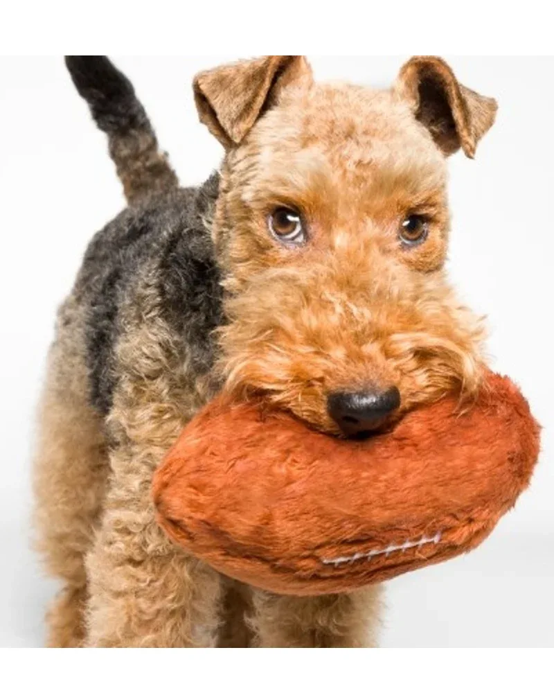 Plush + Squeaky Football Dog Toy