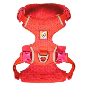 Front Range Flex Harness in Rose Violet
