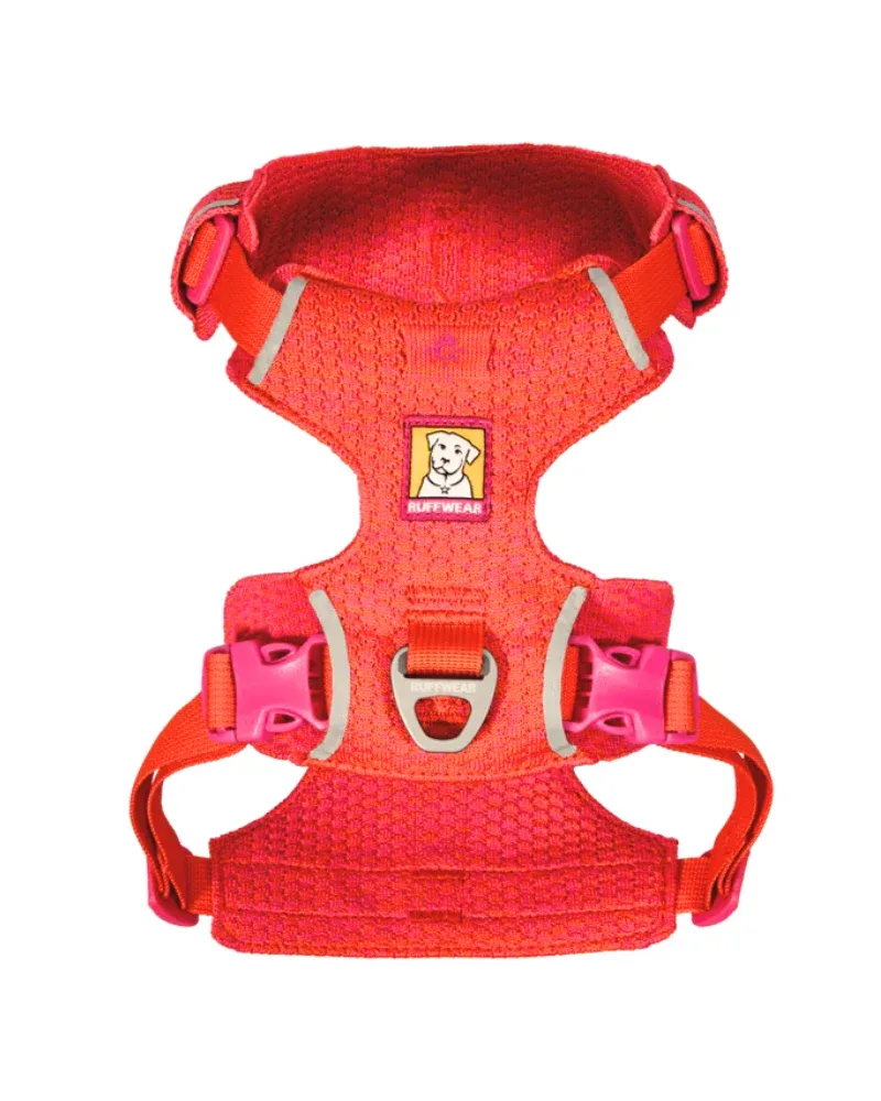 Front Range Flex Harness in Rose Violet