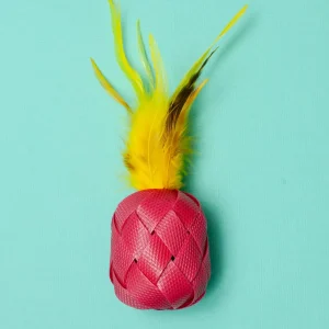 Piña Catlada Catnip Toy
