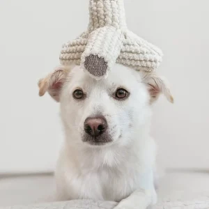 Breuer Crinkle & Squeak Dog Toy in Cream (FINAL SALE)