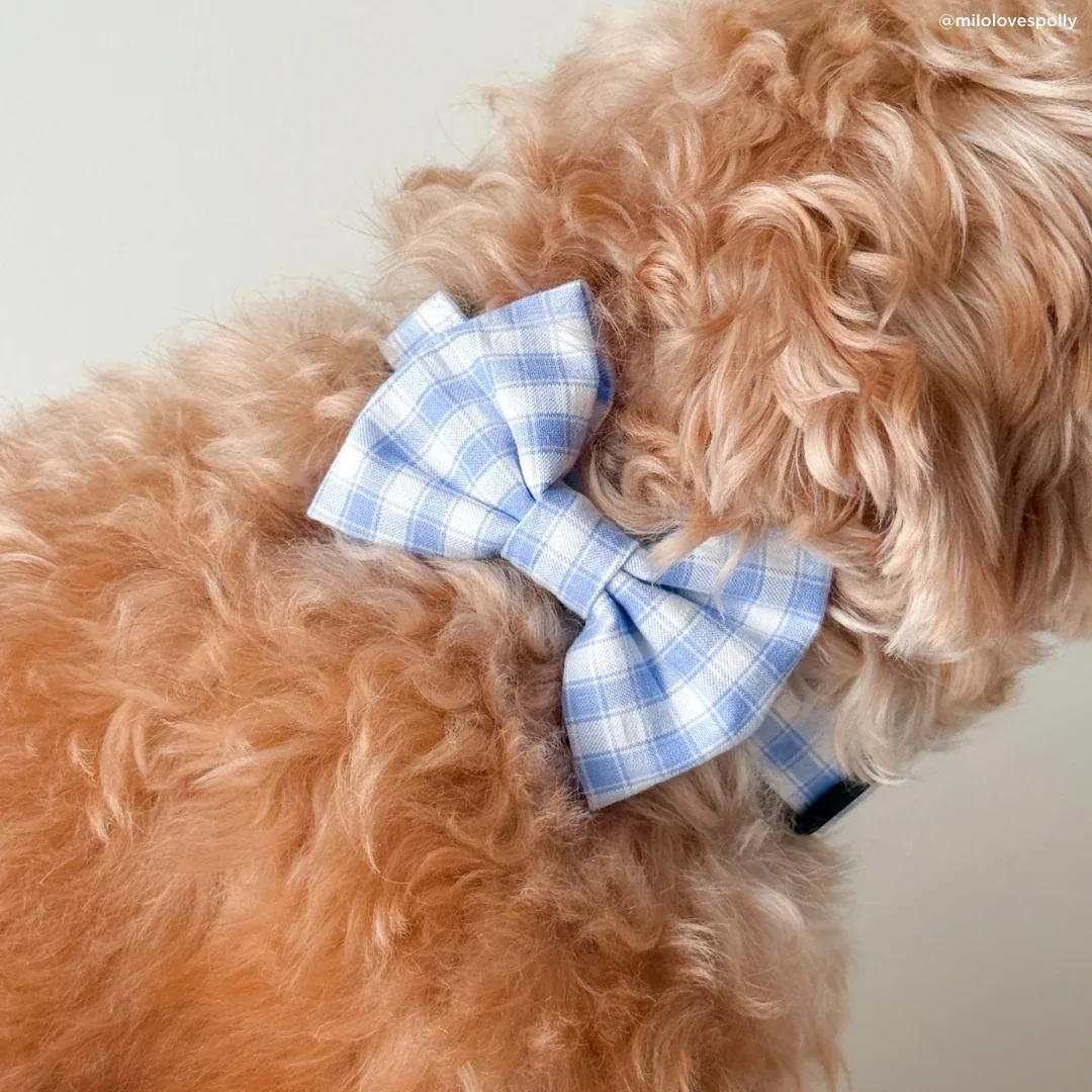 Silly Goose Cat & Dog Bow Tie - Image 2