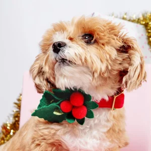 Holly Holiday Dog Collar Flower