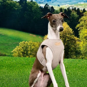 Eco Soft Padded Mesh Harness Vest in Beige