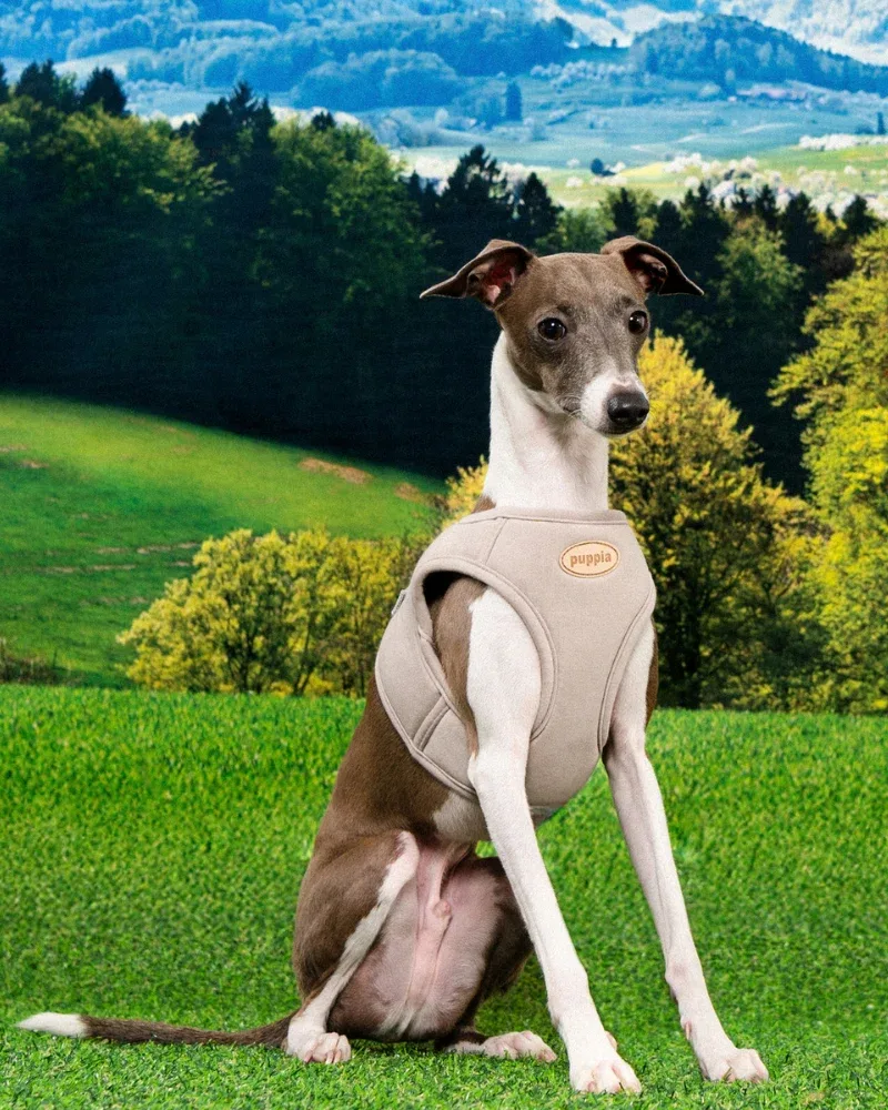 Eco Soft Padded Mesh Harness Vest in Beige