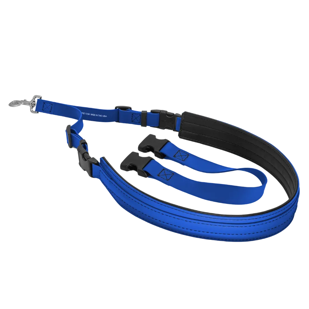 Belly Loop Royal Blue by Jelly Pet