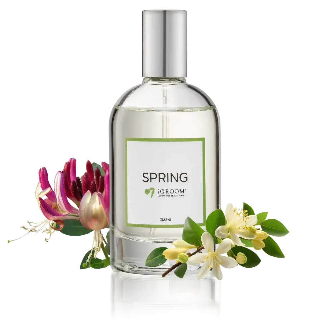 Spring Perfume 100ml by iGroom - Image 2