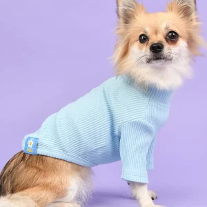 Ribbed Dog Turtleneck Tee In Light Blue