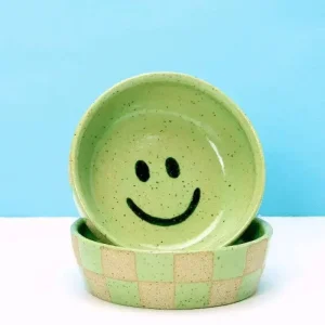 Glazed Stoneware Checkered Smiley Face Dog Bowl in Green (Made in the USA)