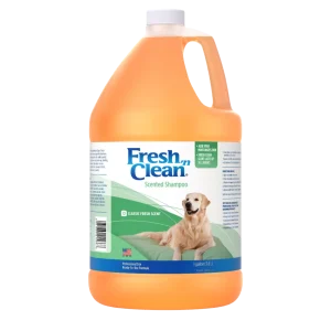Scented Shampoo Classic Fresh Scent Ready to Use Gallon by Fresh 'n Clean