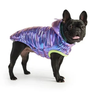 Recycled Arctic Dog Parka in Iridescent (FINAL SALE)