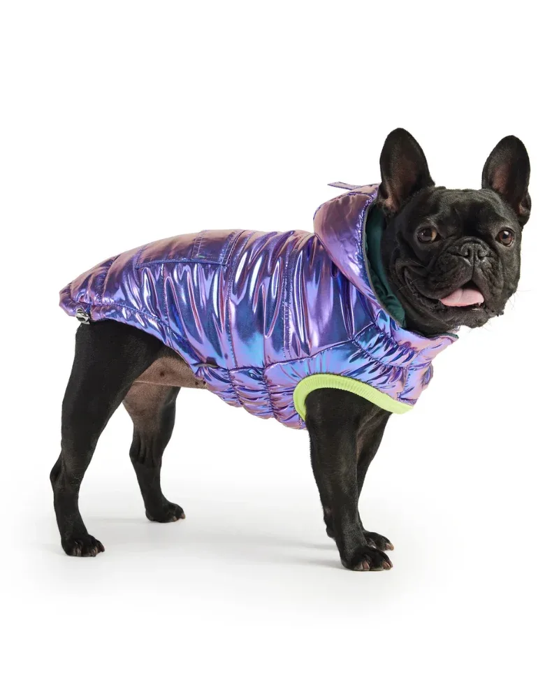 Recycled Arctic Dog Parka in Iridescent (FINAL SALE)