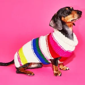 Neon Stripe Wool Dog Sweater (FINAL SALE)