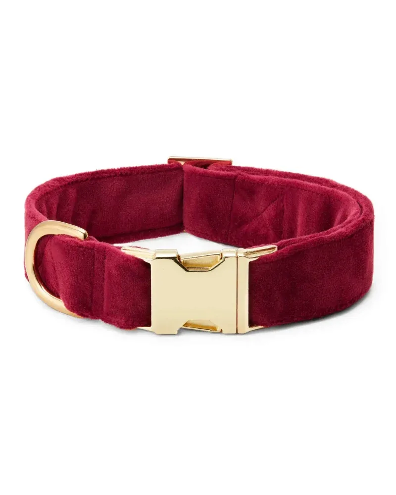 Burgundy Velvet Dog Collar (FINAL SALE)