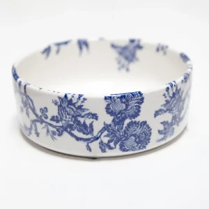 Arcadia Dog Bowl