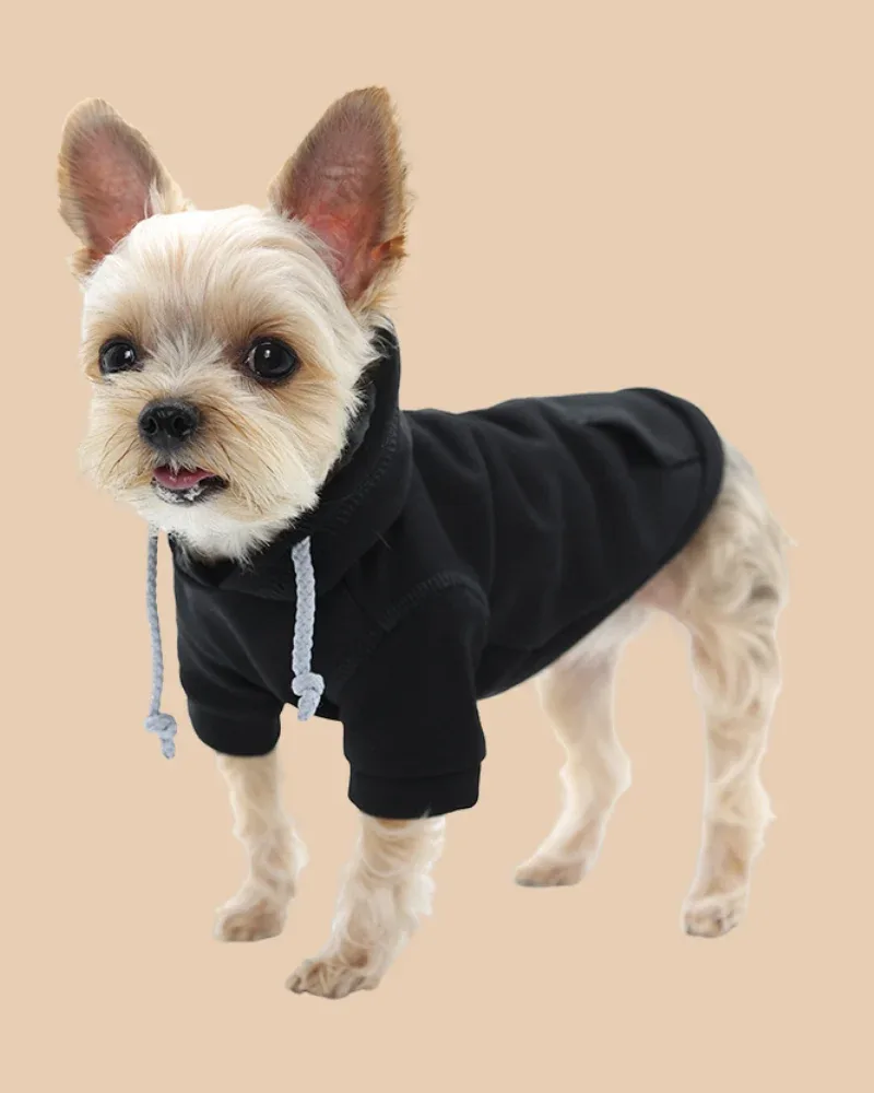Drawstring Dog Hoodie in Black((FINAL SALE))