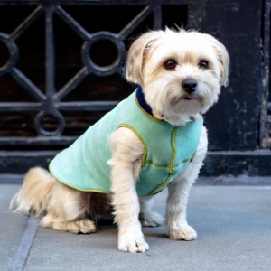 Double-Fleece Reversible Dog Pullover in Juniper & Navy