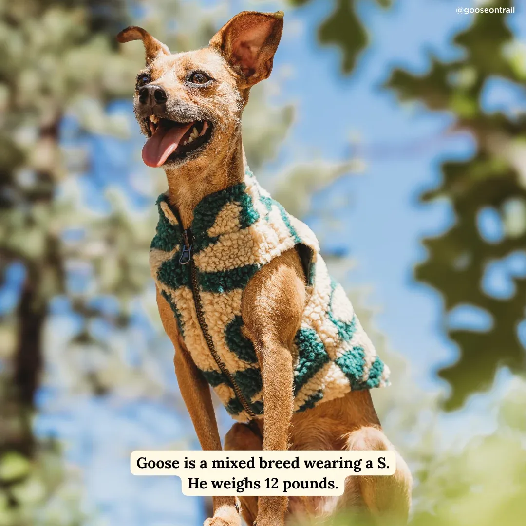 Lucy & Co. x Parks Project Geyser Reversible Teddy Vest - Image 2