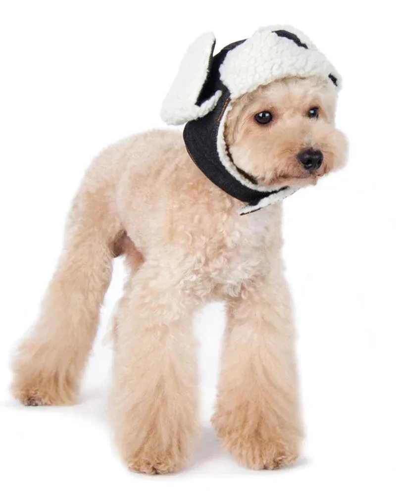 Denim & Sherpa Trapper Dog Hat (FINAL SALE) - Image 2
