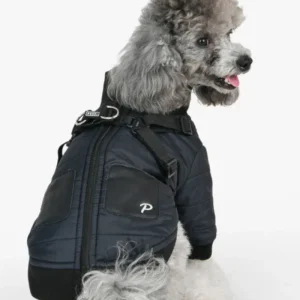Stratus Dog Harness Coat in Black (FINAL SALE)